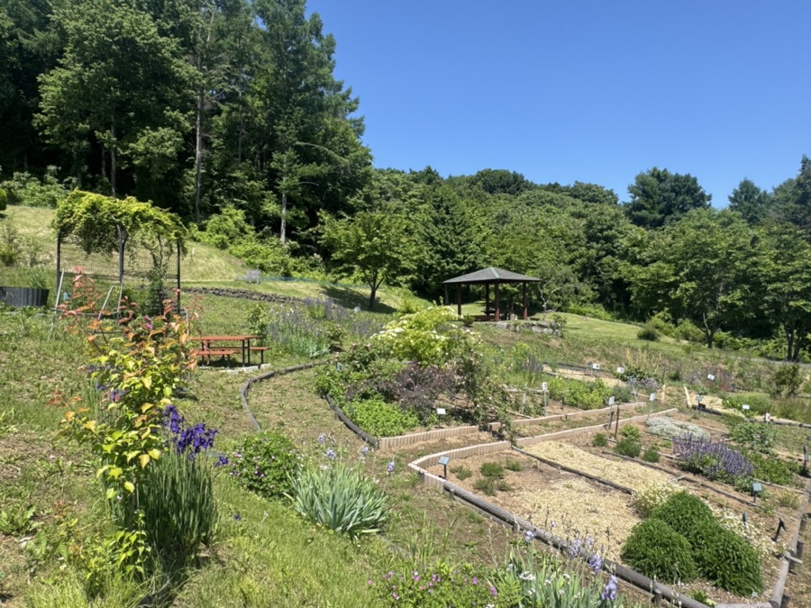 香草園