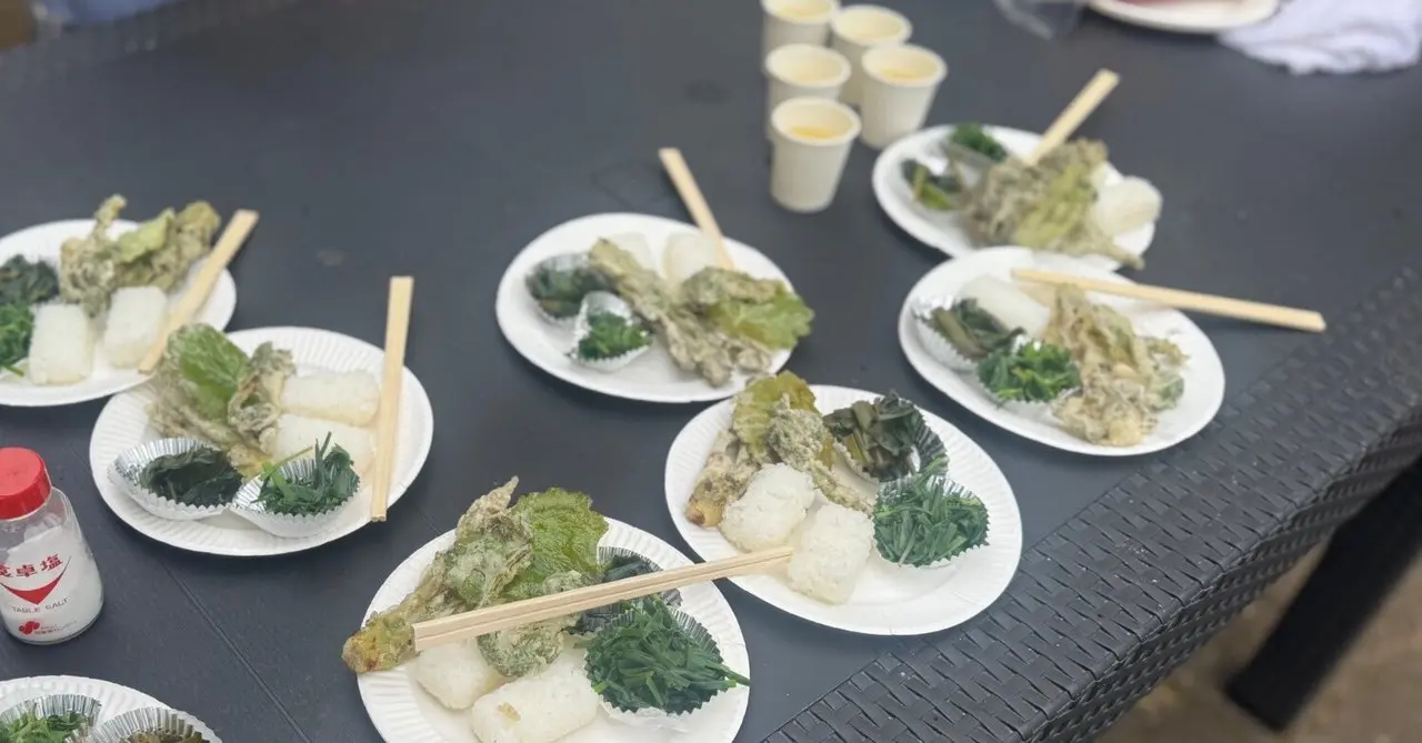 2026年5月8日 イベントの写真【おいしい山菜・野草の見分け方「天ぷらにして食べてみよう」】